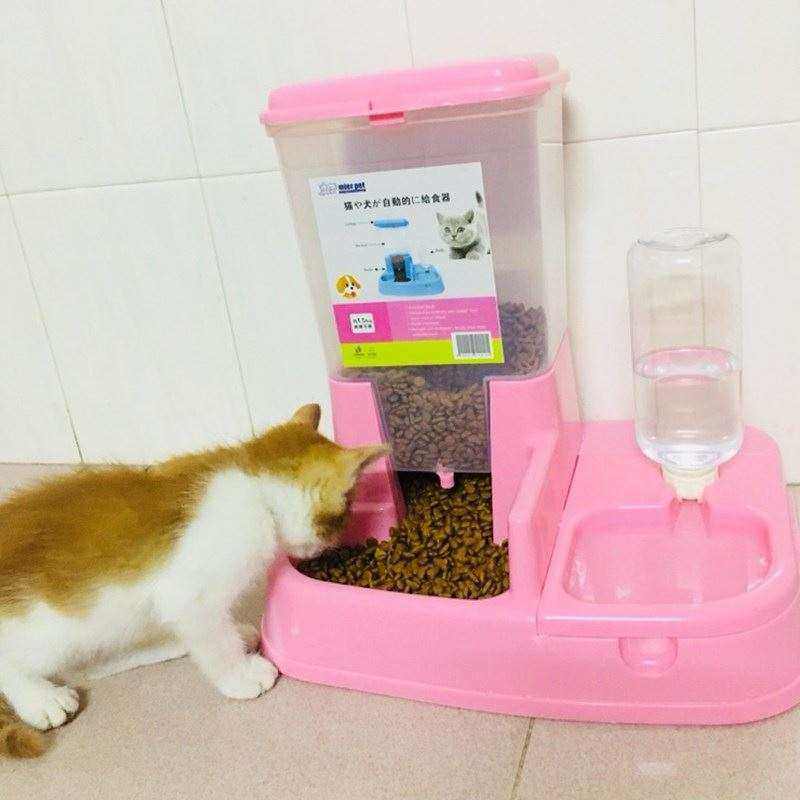 极速猫咪用品自h动喂食器猫碗猫自助喂食器宠物自动喂食器狗碗狗,宠物/宠物食品及用品,宠物智能喂食器,淘宝优惠券,粉丝福利购,淘宝优惠卷