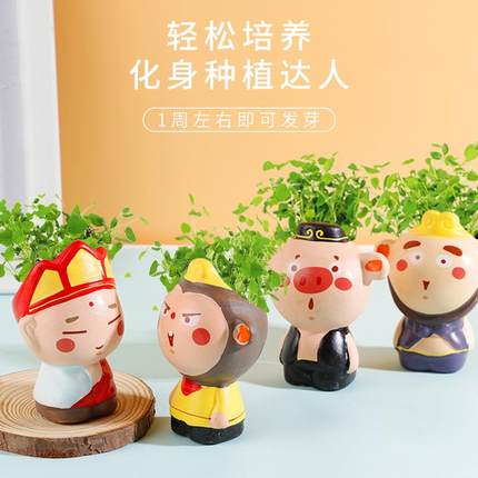 室内迷你小盆栽西游记绿植物桌面水培学生学校毕业创意礼物小奖品