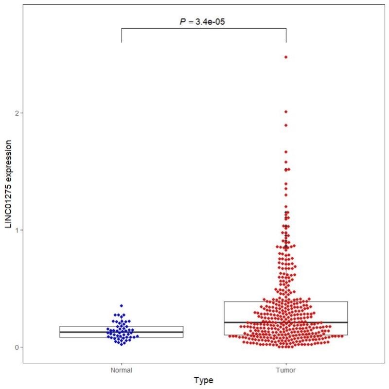 生信分析数据分析大数据临床样本测序NGS