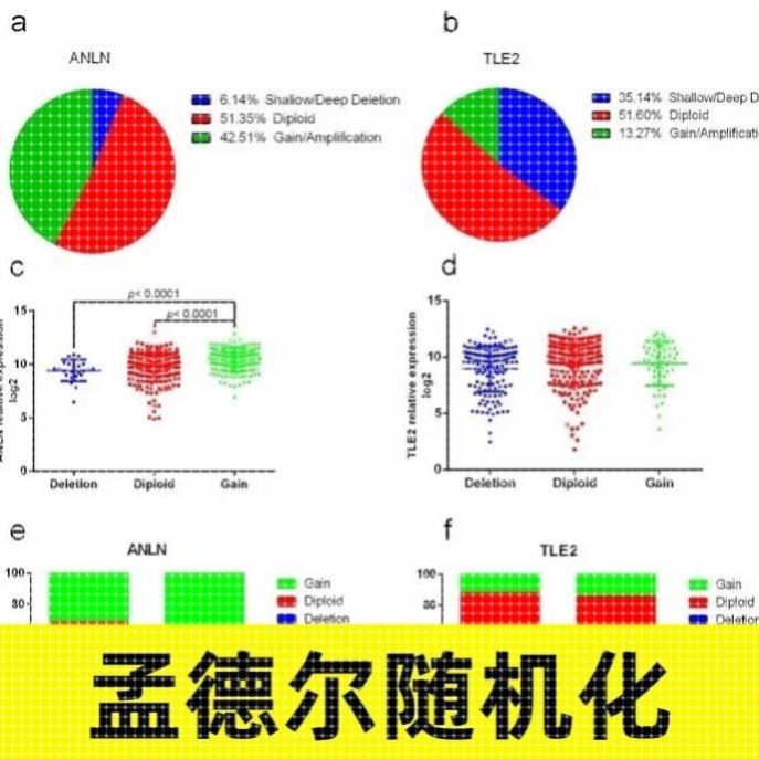 孟德尔随机化生信分析服务代做医学SCI TCGA GEO数据库挖掘定制