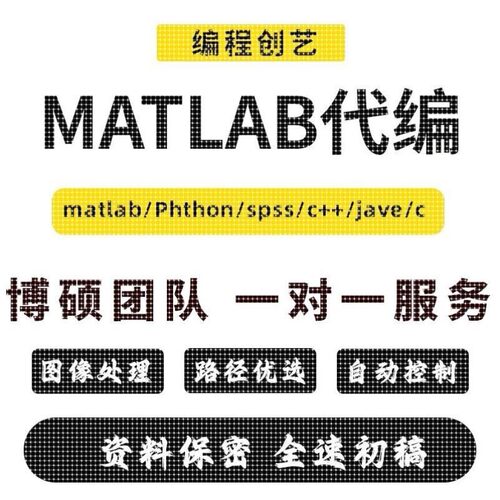 matlab代码帮做程序代编通信仿真代码复现算法改进图像信号分析