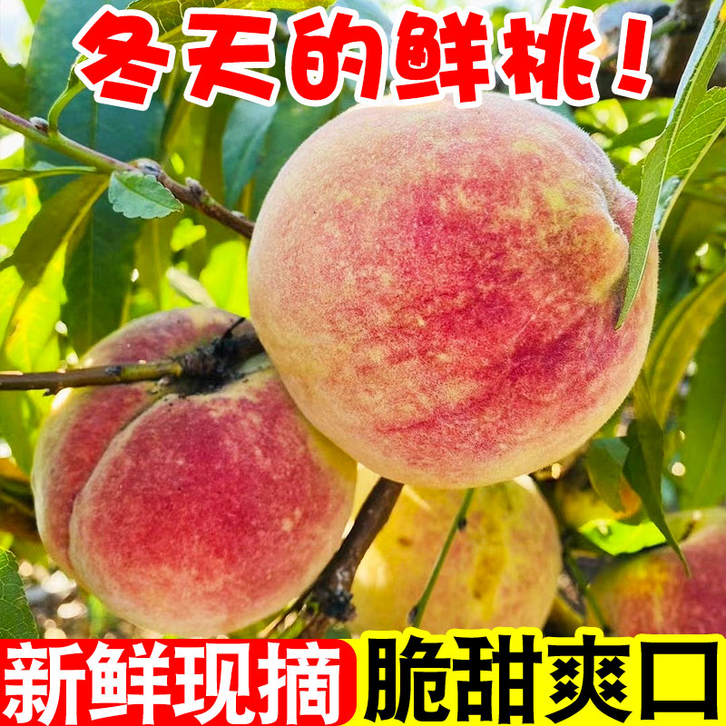 【官方推荐】云南冬桃脆甜可口