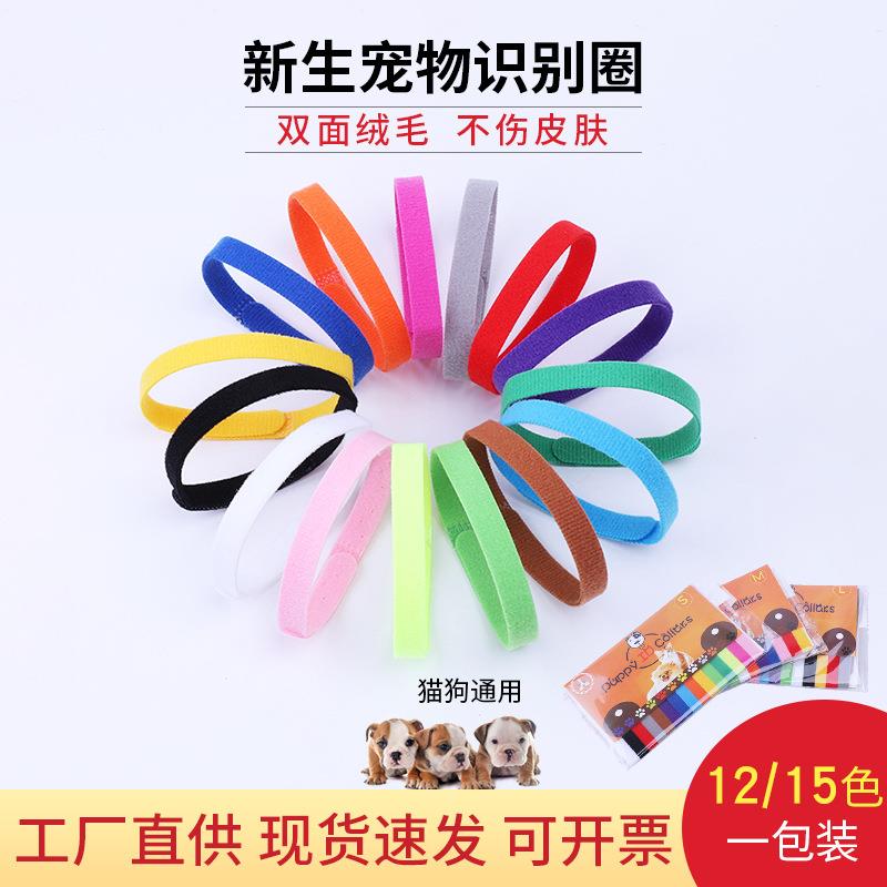 宠物身份识别带12色15色宠物识别项圈幼犬幼猫尼龙脖圈魔术贴扎带