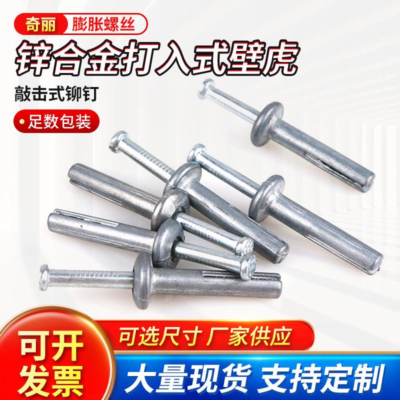 锌合金膨胀螺丝6x30打入式壁虎膨胀螺栓多规格沉头膨胀钉