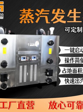 1.0T生物质蒸汽热源机纺织熨烫行业配套设备节能蒸汽发生器