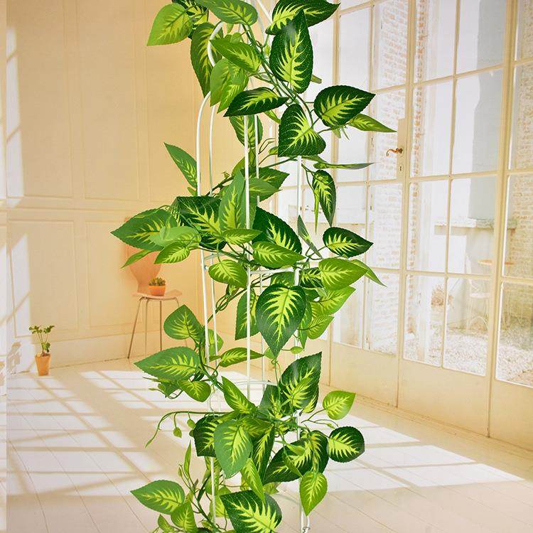 厂家真仿绿条绿萝叶绿叶植藤家居吊顶装饰藤蔓爬山虎叶绿12-35萝,鲜花速递/花卉仿真/绿植园艺,仿真绿植,淘宝优惠券,粉丝福利购,淘宝优惠卷