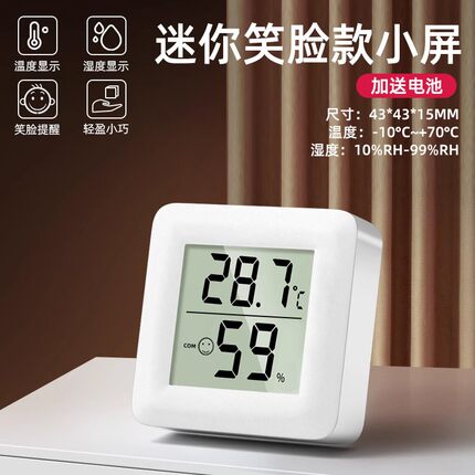 高精度迷你温度计温湿度计室内家用婴儿房壁挂室干湿温精准温度表