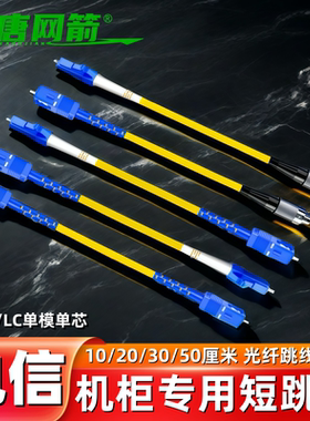 大唐网箭 短光纤跳线10/20/30/50公分0.2米0.3米0.5米单模单芯光纤跳线SC转FC-SC-LC光纤线跳纤光钎电信级