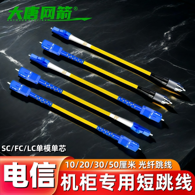 大唐网箭 短光纤跳线10/20/30/50公分0.2米0.3米0.5米单模单芯光纤跳线SC转FC-SC-LC光纤线跳纤光钎电信级