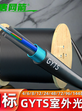 大唐网箭 GYTS层绞式钢带电信级12芯国标光缆24芯gyts光纤线室外光缆4芯6芯72芯48芯288芯144芯单模铠装光缆