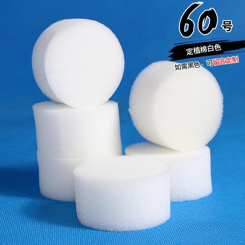60号定植棉 无土栽培蔬菜设备水培种植绵 阳台种菜固定海绵