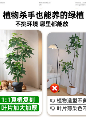 假绿植装饰仿真发财树室内盆栽大型落地摆件客厅轻奢仿生植物造景