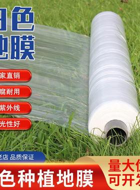 白色地膜农用保温保湿蔬菜大棚种植防草地膜耐拉扯塑料小拱棚薄膜