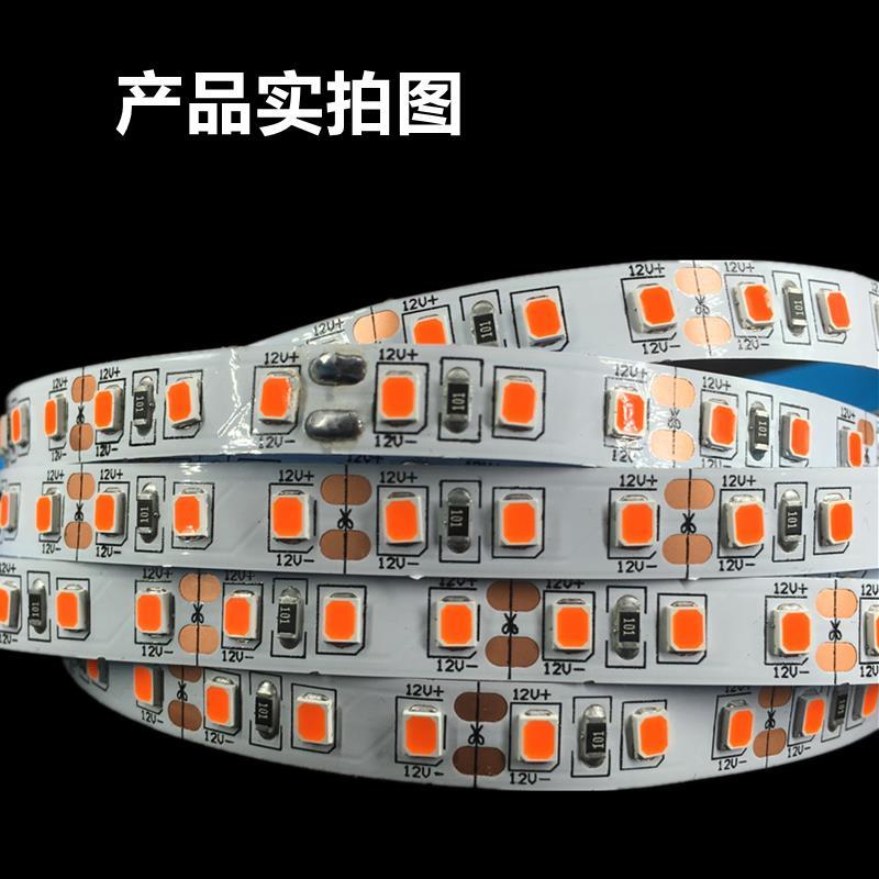 高亮西柚红12v橙红色偏粉光led灯带室内装修招牌亮化暗藏氛围软条