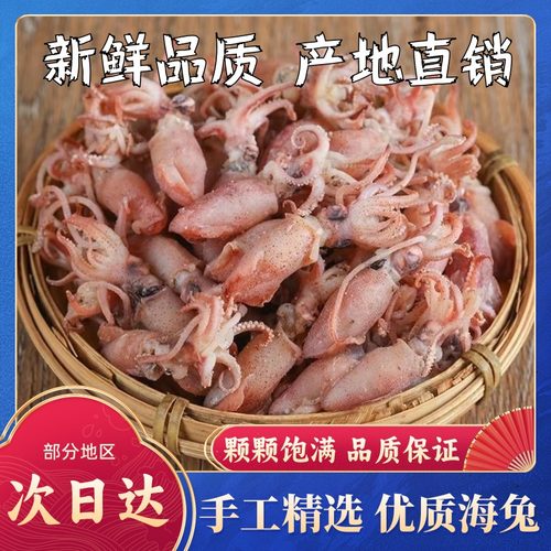 蚁淘鲜海兔干货去内脏无沙带籽笔管鱼野生淡干鱿鱼仔墨鱼仔海产品