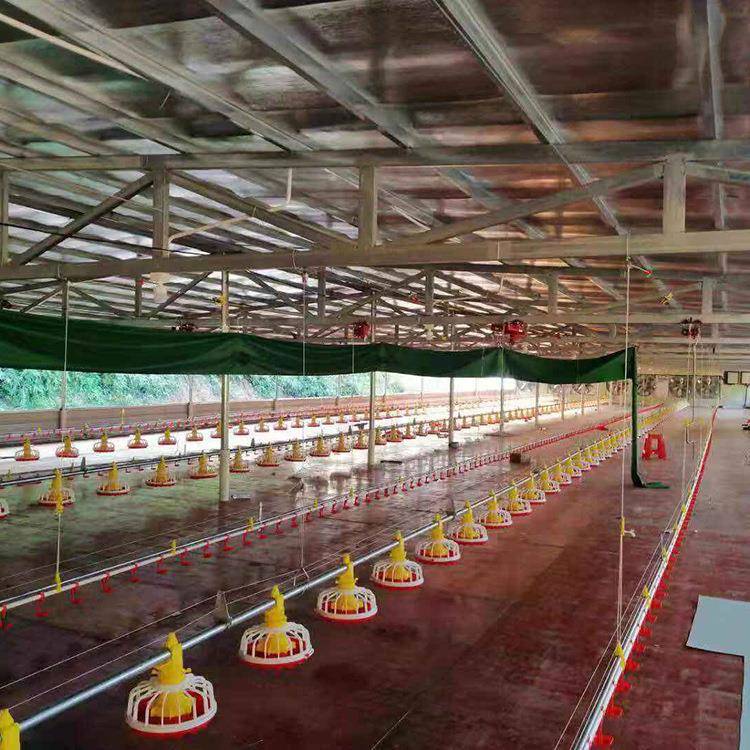 养殖场上料机料线水线鸡鸭鹅棚升降喂料机家禽饮水器全自动送料