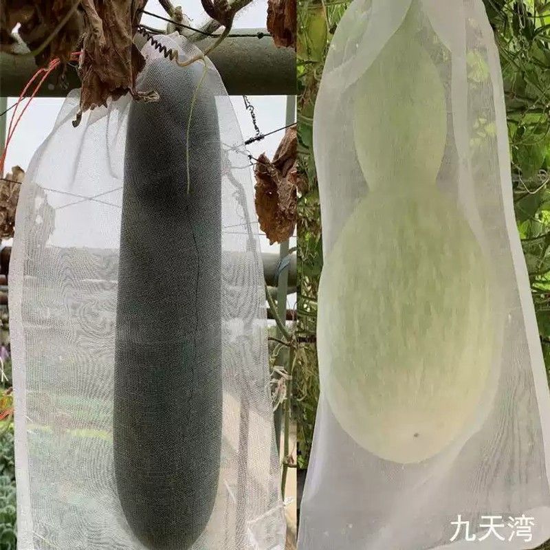 南瓜套袋冬瓜防虫网袋葡萄防鸟袋包水果桃子丝瓜套袋种瓜袋子尼龙