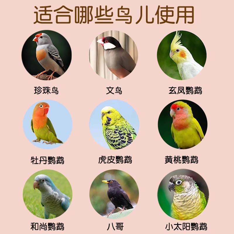 珍珠鸟鸟窝四季通用文鸟繁殖箱下蛋鹦鹉专用睡觉草窝鸟巢用品大全