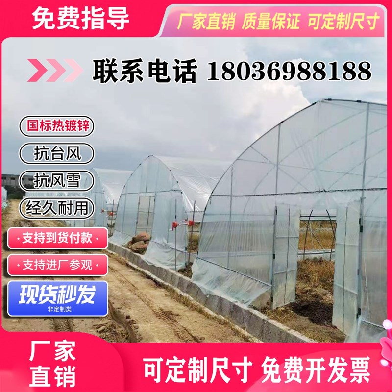 蔬菜温室大棚钢管骨架育苗草莓西瓜种植椭圆管养殖大棚钢架全套