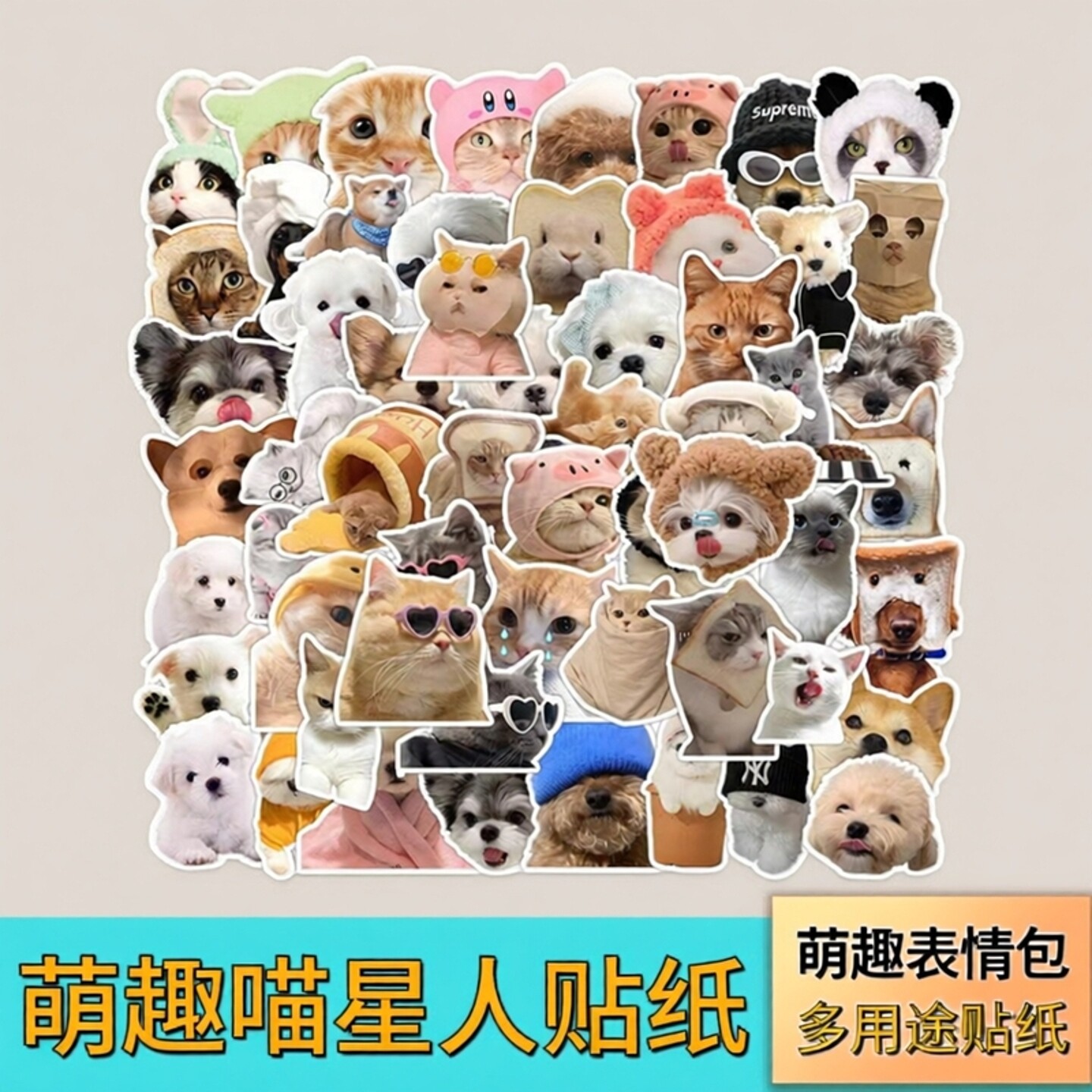 60张猫狗表情包贴纸萌趣喵星人手账本ipad笔记本电脑滑板水杯文具日记本手账手机壳装饰防水耐高温衣厨贴画