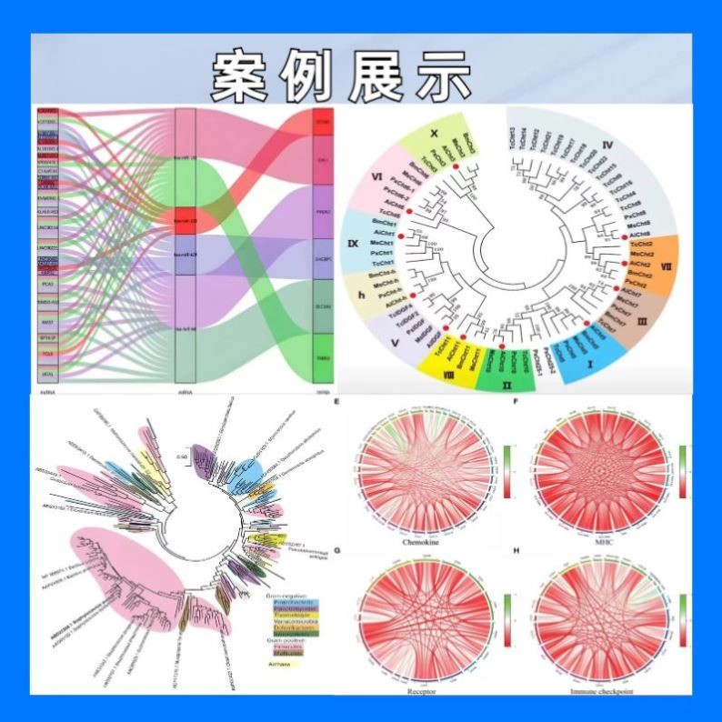 生信分析 SCI2-9分套餐定制TCGA/GEO/KEGG数据库挖掘