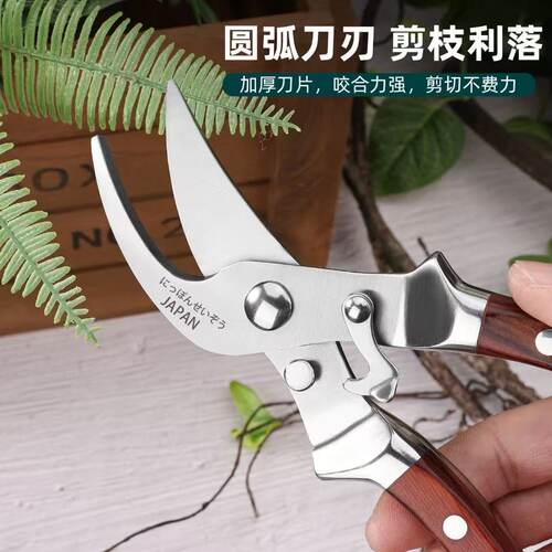 进口全钢红木柄家用修枝剪园艺省力花艺园林果树修剪树枝修花剪刀