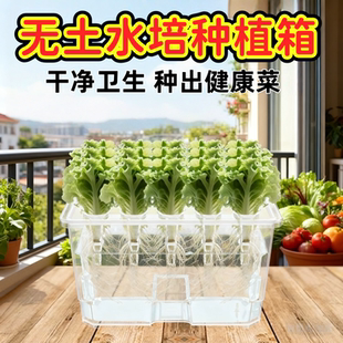 无土水培种植箱加大款家庭种菜阳光水培器皿室内无公害水培种植