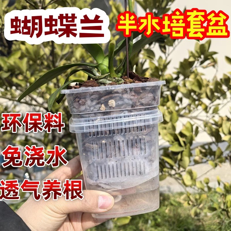 蝴蝶兰套盆透气养根控根半水培免浇水方花盆内外桶搭配套装定植篮,鲜花速递/花卉仿真/绿植园艺,花盆,淘宝优惠券,粉丝福利购,淘宝优惠卷