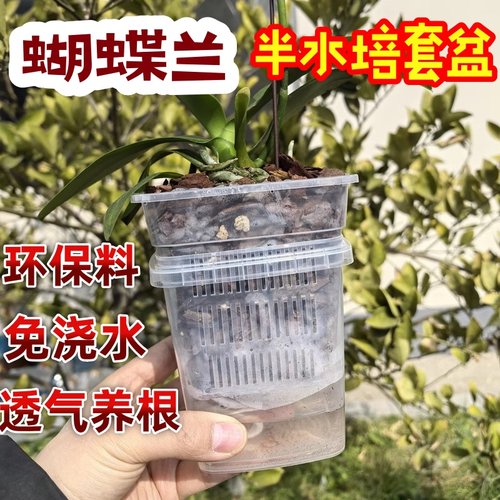 蝴蝶兰套盆透气养根控根花盆