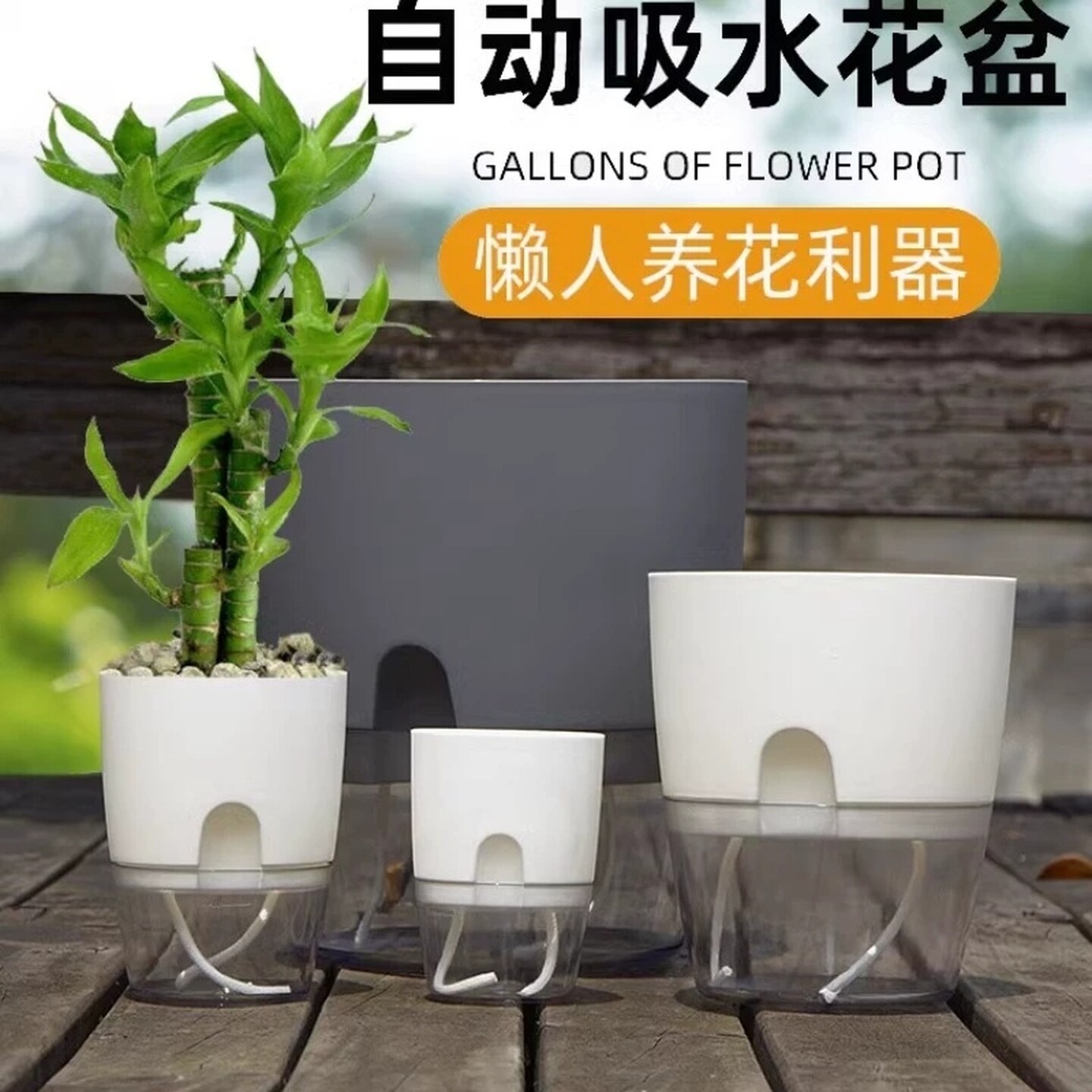 懒人自动吸水大号花盆清仓塑料树脂简约仿陶瓷绿萝多肉室内水培盆