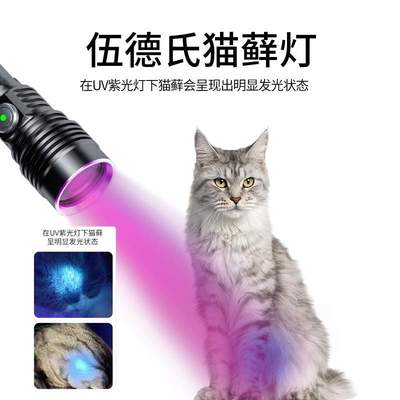 大功率紫光照蝎子灯uv胶固化多功能验钞鉴定专用荧光检测伍德氏灯