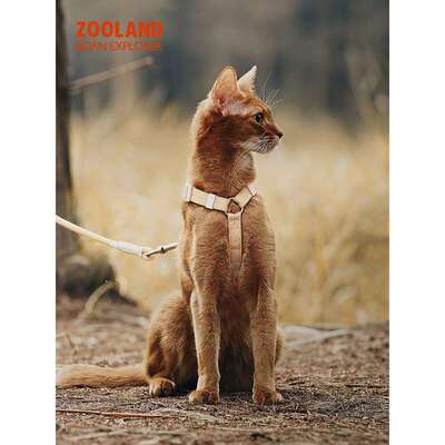 ZOLAND猫O咪引绳子防挣脱外出专用溜幼小猫宠背物牵894工字胸可调