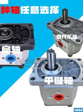 CBN3齿F轮277泵CBN-316CBT液压泵F304F06310FF312F325油泵高压