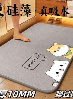 硅藻泥吸水间垫卫生门口防加厚脚垫速干浴室AL102728硬滑卫生间家