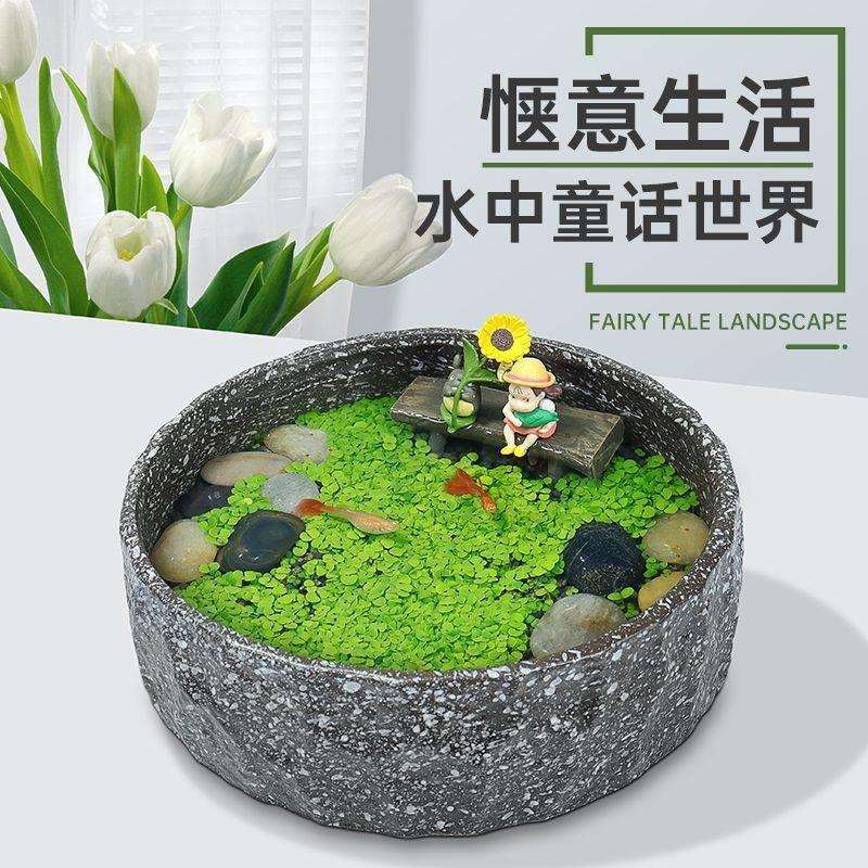 古童法鱼缸桌话水族世养界微景观装饰面鱼缸绽虚#905生态水培绿植图片