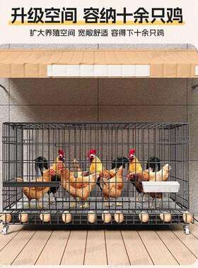 鸡cp#70427笼子家用养鸡笼大号号特大自动清粪折叠养铁殖鸡舍丝网