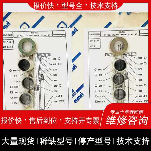 议价 维修003D AMRI KSB DN200 8 REPAIR KIT AS PHOTO LOT OF 2