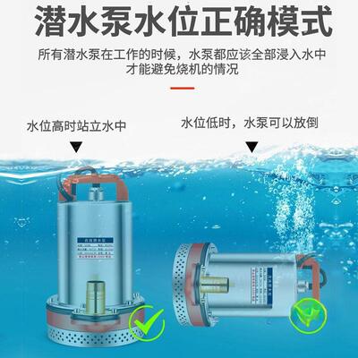 水款直流潜THE水泵12V24V48V6V72V抽水泵0农用抽机新灌溉家用铸铁