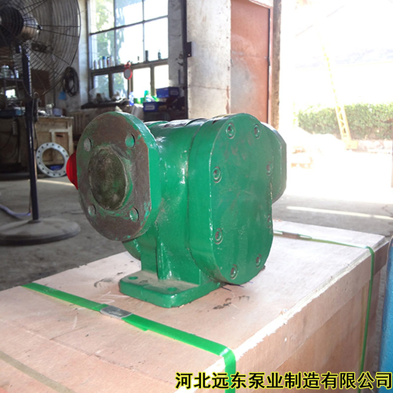 外润滑渣油泵2CG18硬齿面渣油泵,鲜花速递/花卉仿真/绿植园艺,其它园艺用品,淘宝优惠券,粉丝福利购,淘宝优惠卷