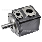 B17 3R01 C1丹尼逊液压泵 T6CM DENISON注塑机 打包机油泵