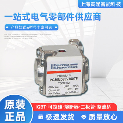 美尔森Mersen Ferraz罗兰熔断器PC30UD69V100TF 690V T300052