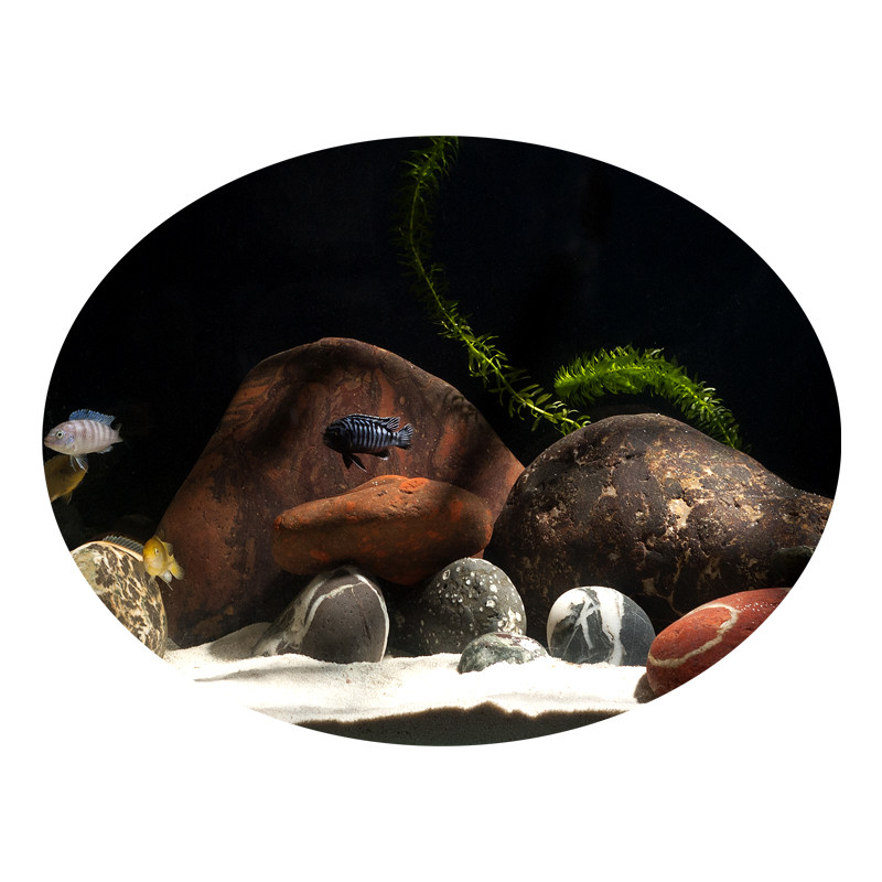 鹅卵石鱼缸造景套餐组合三湖草缸原生缸南美缸龟缸水族缸造景装饰