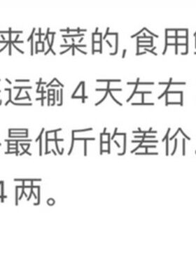 顺丰包邮北美鳄龟活物食用养殖红烧观赏鳄龟大鳄食用鳄鱼龟