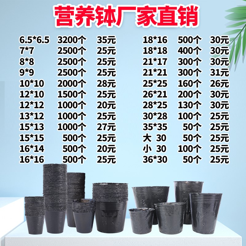 营养杯育苗杯营养钵育苗盆塑料加厚一次性农用营养袋育苗袋花盆大
