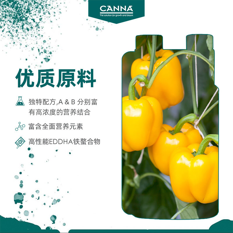 荷兰无土栽培CANNA SUBSTRA Vega A生长肥盆景兰花专用植物营养液