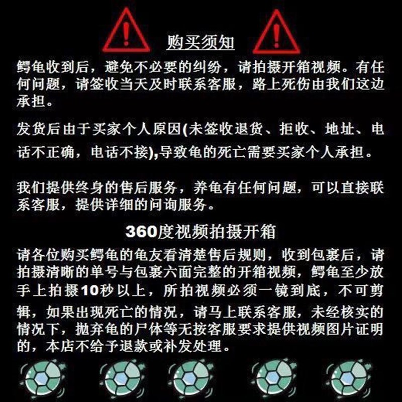 佛鳄龟纯佛鳄龟原种爆刺纯佛凶猛正宗佛鳄龟活体观赏龟
