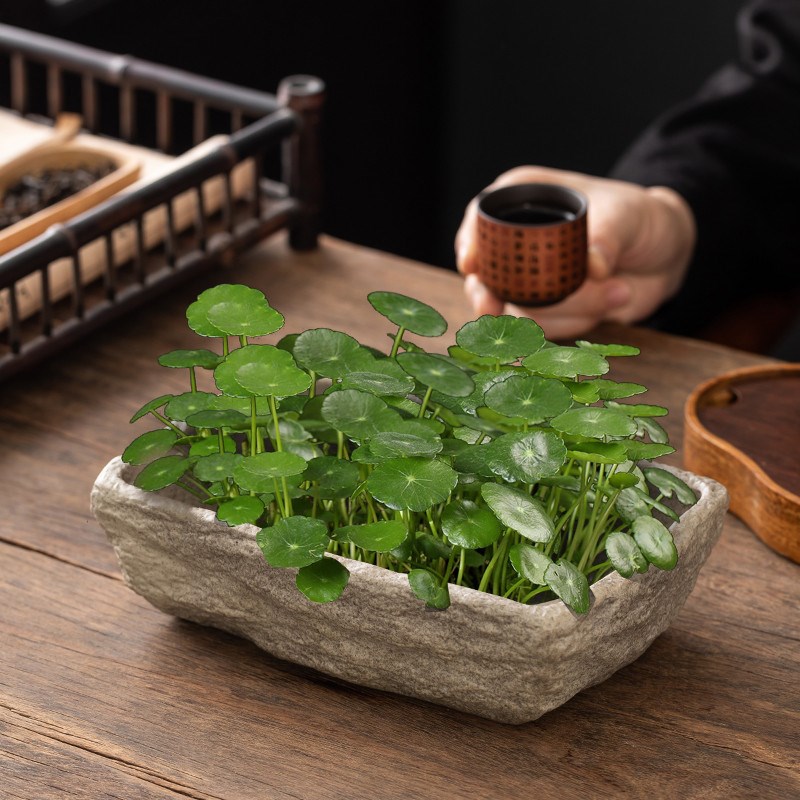 方形水缸仿石头培器皿长陶瓷花盆养铜钱草碗莲睡莲盆盆栽盆景盆子