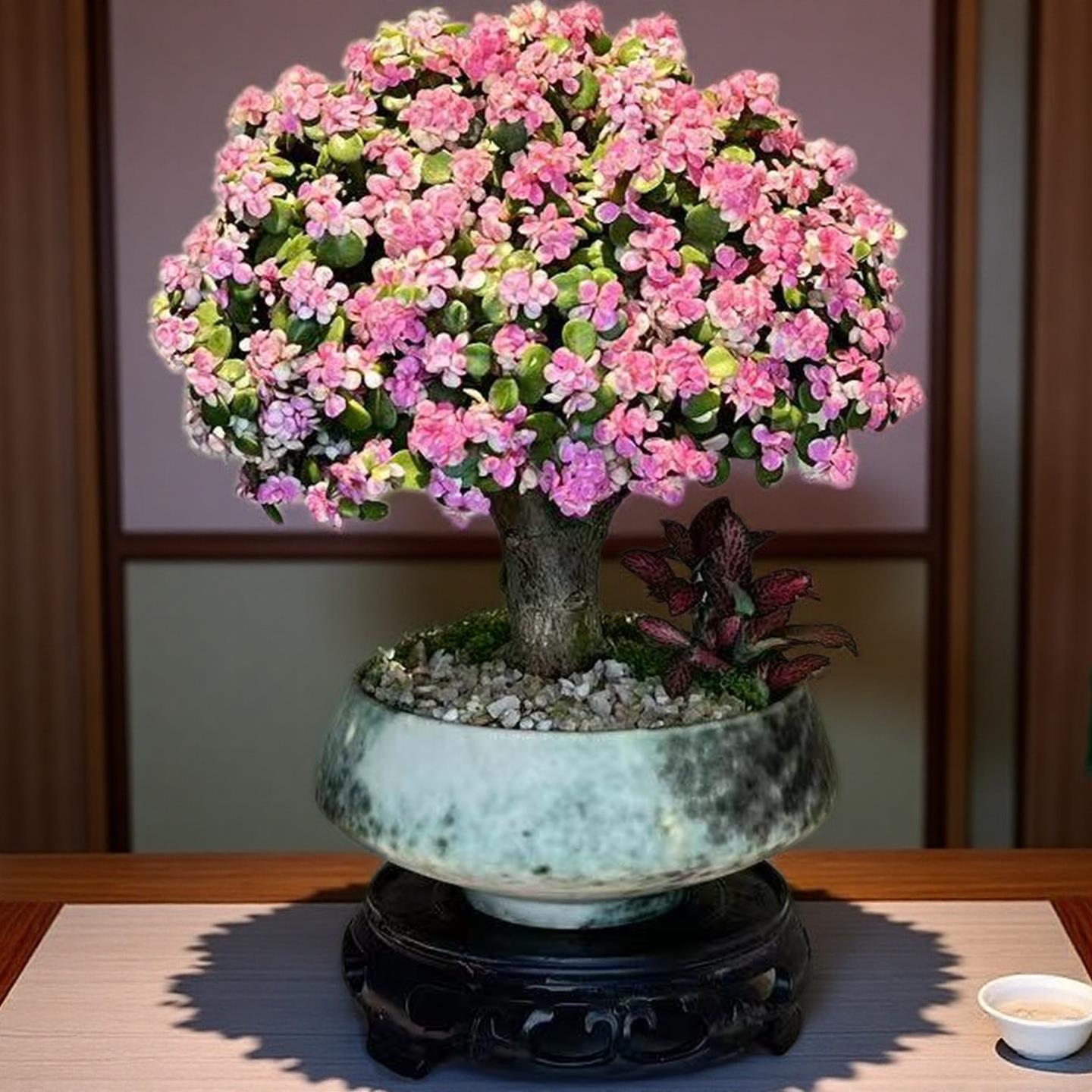 金枝玉叶花卉盆栽室内家居好养绿植玄关桌面摆件四季新品多肉盆景