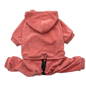 中大型犬衣服拉布拉多春秋狗卫衣新款宠物保暖冬季金毛柴犬四脚衣