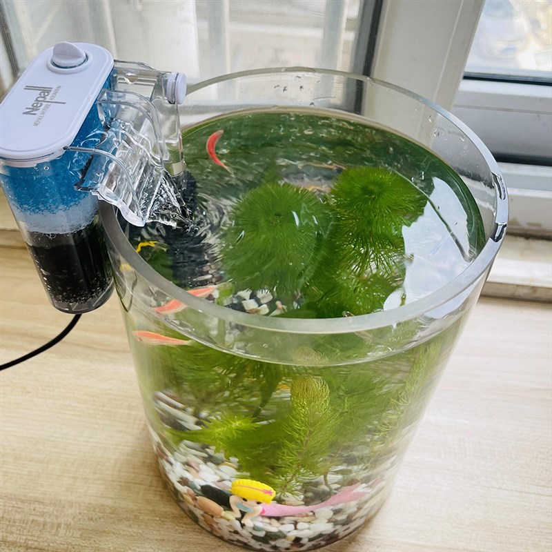 微景观生态瓶少换水自循环小鱼缸小型桌面办公桌水草造景生态缸